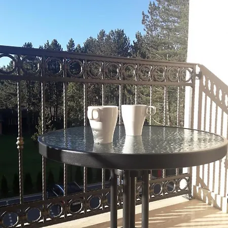 Aleksandra S27 - Elsa I * Zlatibor